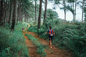 BIB: 
                            <button type="button" onclick="openModal(25687799)" class="btn btn-primary btn-sm float-right btn-popup" data-toggle="modal" data-target=".modal-high-quality">
                        <i class="fas fa-shopping-cart"></i> Add to Cart
                    </button>
                                            <button type="button" onclick="isThisMe(25687799, true)" class="btn btn-success btn-sm float-right btn-popup btn-isme hidden" data-toggle="tooltip" data-placement="bottom" title="นี่คือรูปของคุณใช่ไหม คลิกที่นี่เพื่อเอาเข้าอัลบั้ม">
                        <i class="fas fa-plus"></i> Add to album
                    </button>
                    <button type="button" onclick="isThisMe(25687799, false)" class="btn btn-warning btn-sm float-right btn-popup btn-isnotme hidden">
                        <i class="fas fa-ban"></i> Remove from album
                    </button>